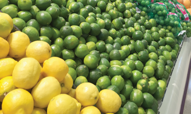 الأهرام للمجمعات الاستهلاكية تطرح كميات كبيرة من الليمون بسعر 45 جنيها للكيلو