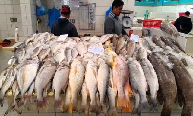 تعرف على أسعار السمك اليوم بسوق العبور