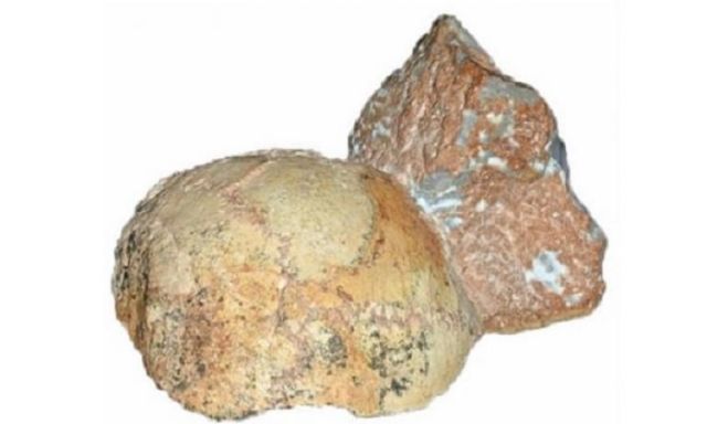 العثورعلى «جمجمة مكسورة » لأقدم أثر بشري خارج أفريقيا