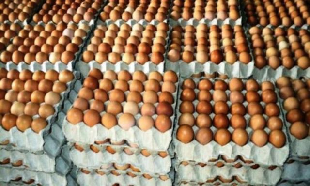 استقرار فى أسعار البيض عند 33 و30 للكرتونة