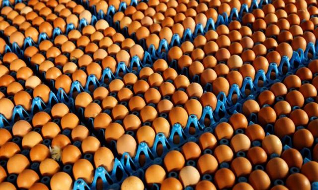 البيض يباع بـ ” 23 و 35 ” جنيها للكرتونة