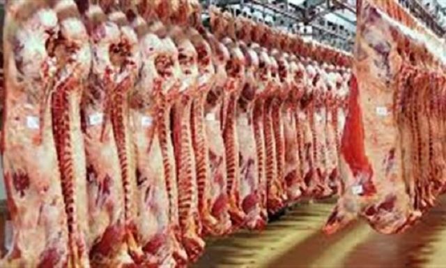 استقرار أسعار اللحوم بالأسواق اليوم