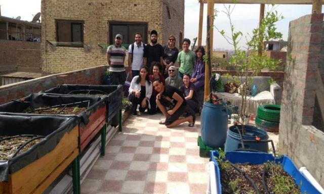 طلاب الجامعة الأمريكية بالقاهرة يؤسسون حديقة مستدامة على سطح مبنى في منطقةالحطابة بالقاهرة