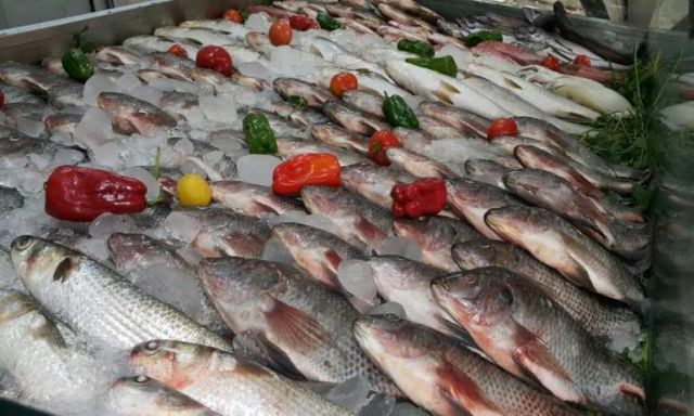 نرصد أسعار الأسماك فى سوق العبور اليوم