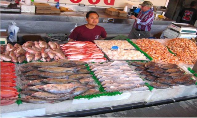 أسعار الأسماك فى سوق العبور اليوم