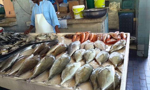 أسعار الأسماك ثابتة اليوم فى سوق الجملة بالعبور