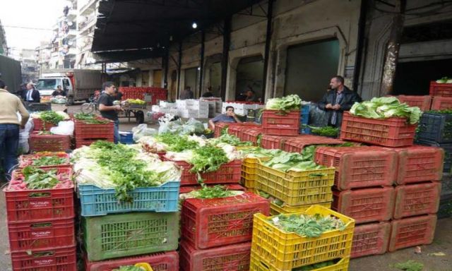 أسعار الخضار ” مستقرة ” فى سوق الجملة بمدينة العبور