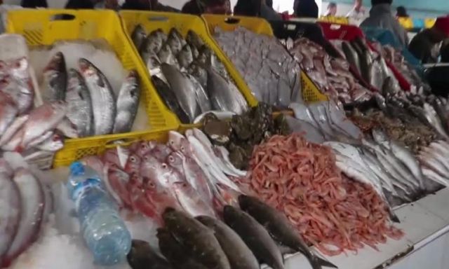 استقرار فى أسعار السمك بسوق الجملة فى العبور