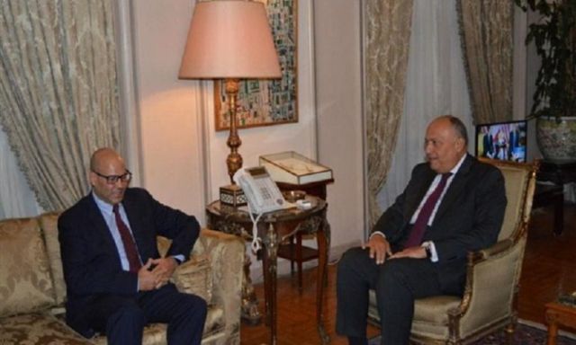 شكري يبحث مع نائب رئيس المجلس الرئاسي الليبي تطورات الأزمة الليبية