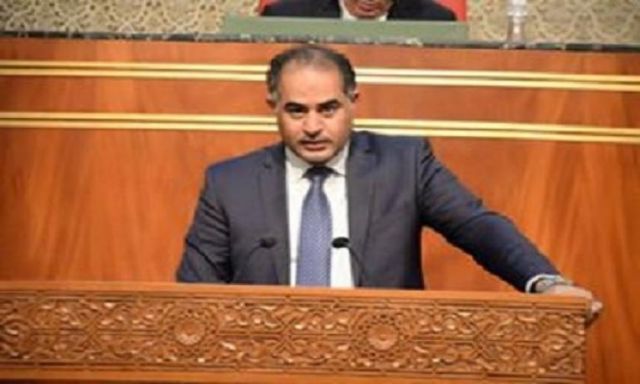 وكيل النواب: موقف مصر ثابت في دعم القضية الفلسطينية