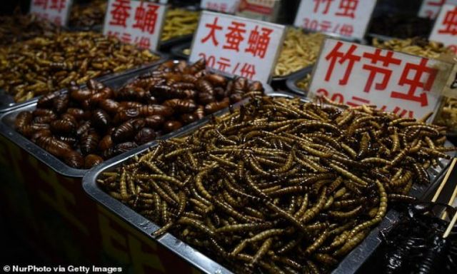بالصور.. تفاصيل إعادة فتح سوق لبيع الحشرات والديدان في الصين
