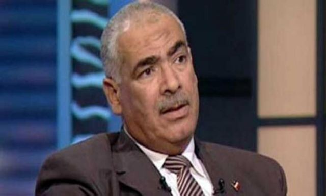 محمود عامر: قانون الانتخابات يراعى جميع الفصائل ولا يخدم الإخوان