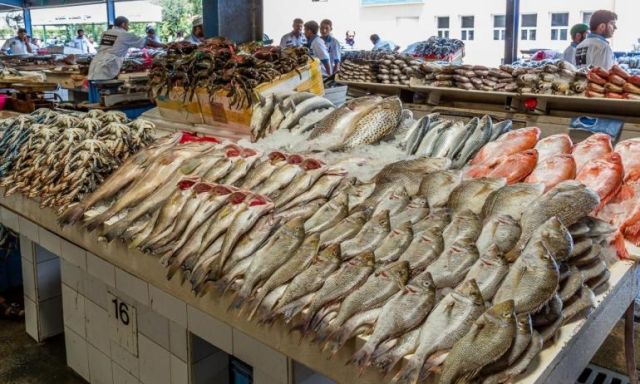 ثبات فى أسعار الأسماك بسوق الجملة فى العبور