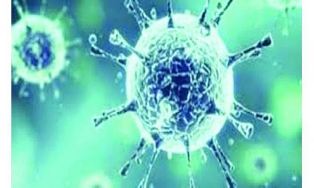 تسجيل 6 وفيات و113 إصابة جديدة بفيروس كورونا فى الجزائر خلال 24 ساعة