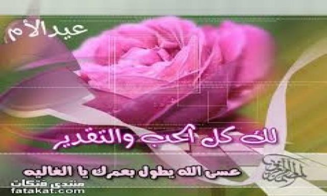 شاعر سعودى يقدم قصيدة لكل الأمهات بمناسبة عيد الأم