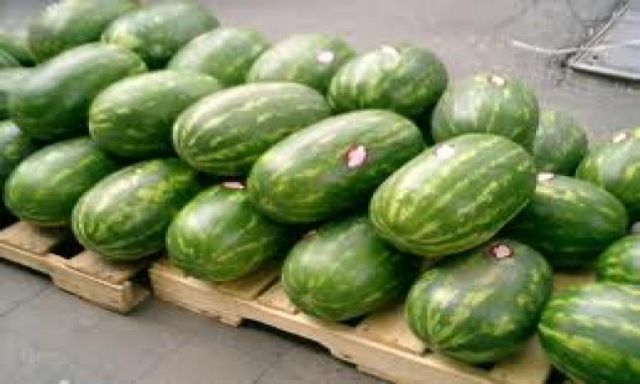 ”البطيخ ”يتسبب في تسمم أسرة كاملة بديرمواس