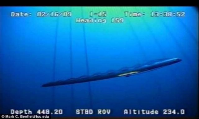 بالفيديو .. لأول مرة العلماء يلتقطون صوراً لسمكة أسطورية طولها 15 متر